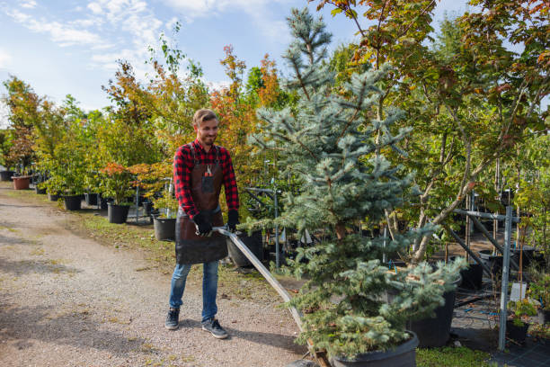Best Seasonal Cleanup (Spring/Fall)  in USA
